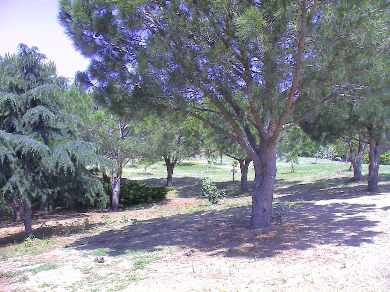 مبيت وإفطار كاتانزارو Borgo Piazza المظهر الخارجي الصورة